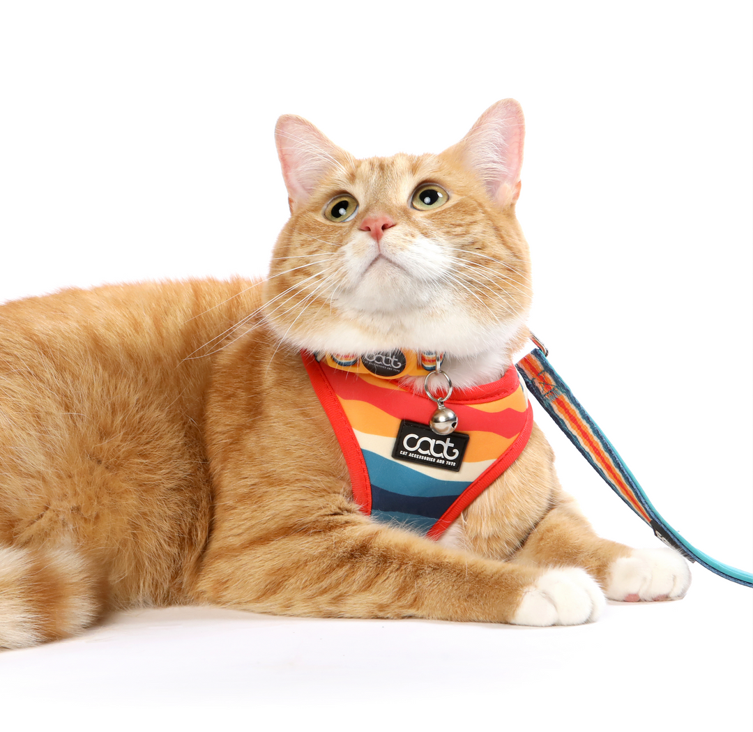 CAAT Cat Harness & Leash Combo