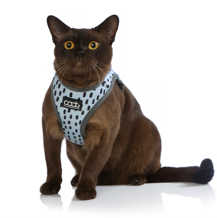 CAAT Cat Harness & Leash Combo