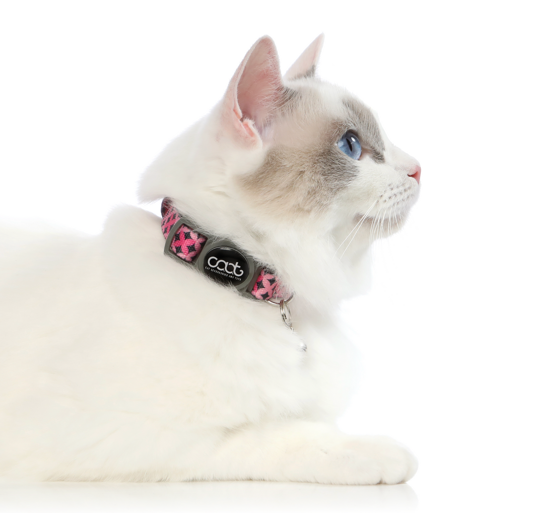 CAAT Quick-Release Cat Collar