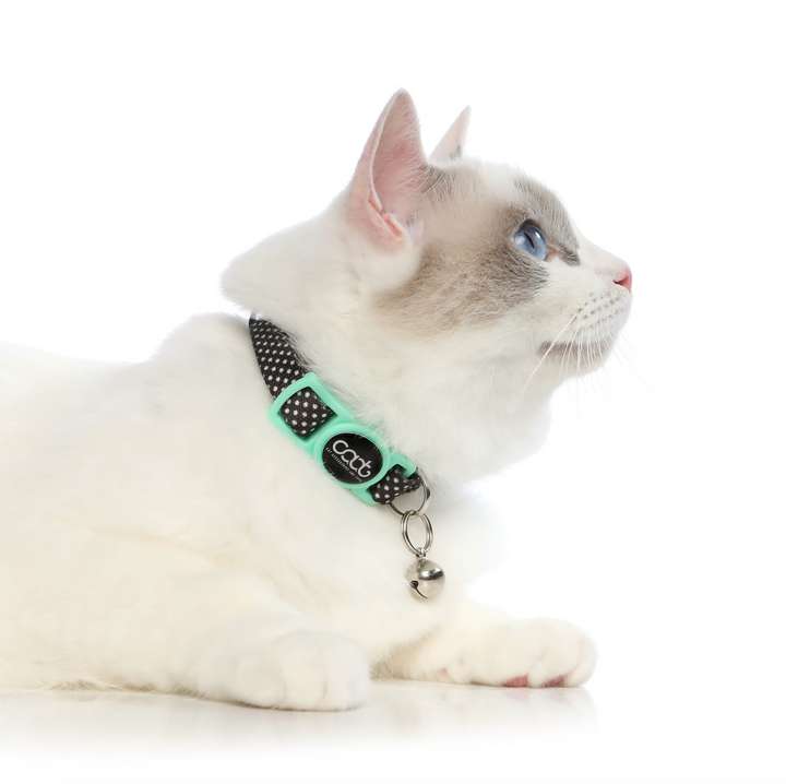 CAAT Quick-Release Cat Collar