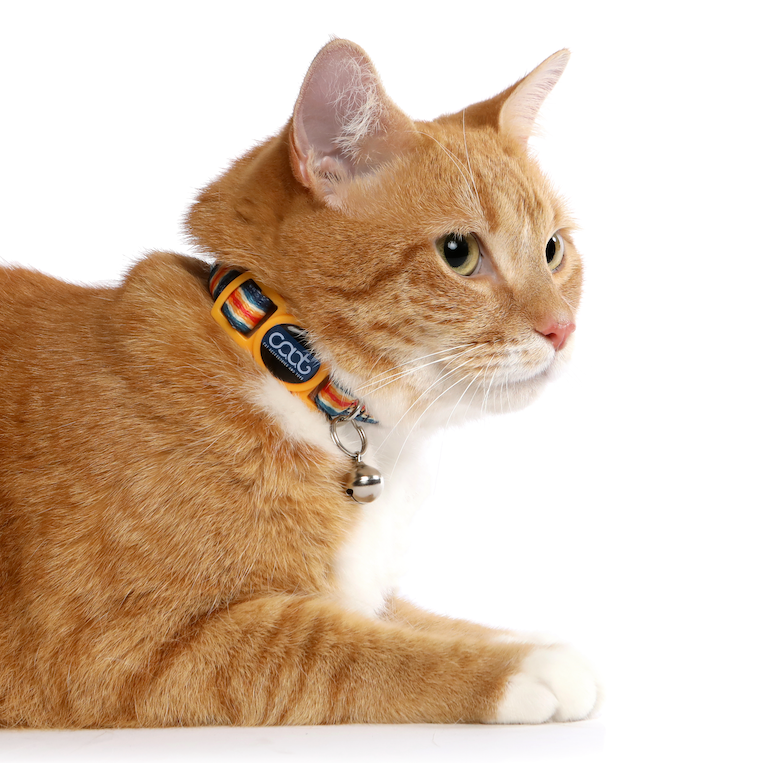 CAAT Quick-Release Cat Collar