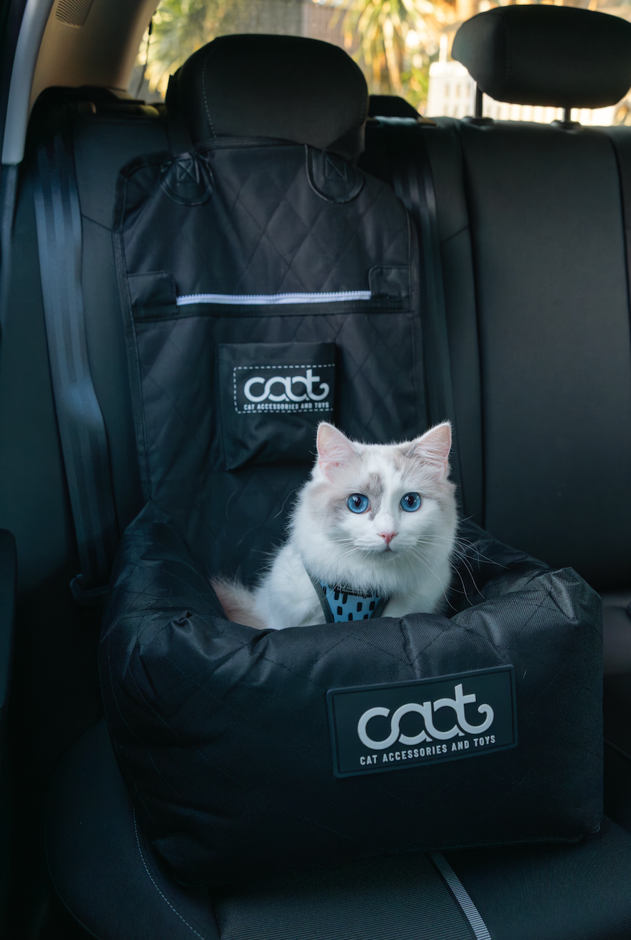 CAAT Cat Car Seat