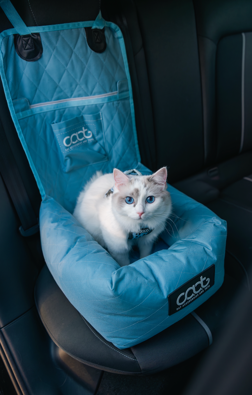 CAAT Cat Car Seat