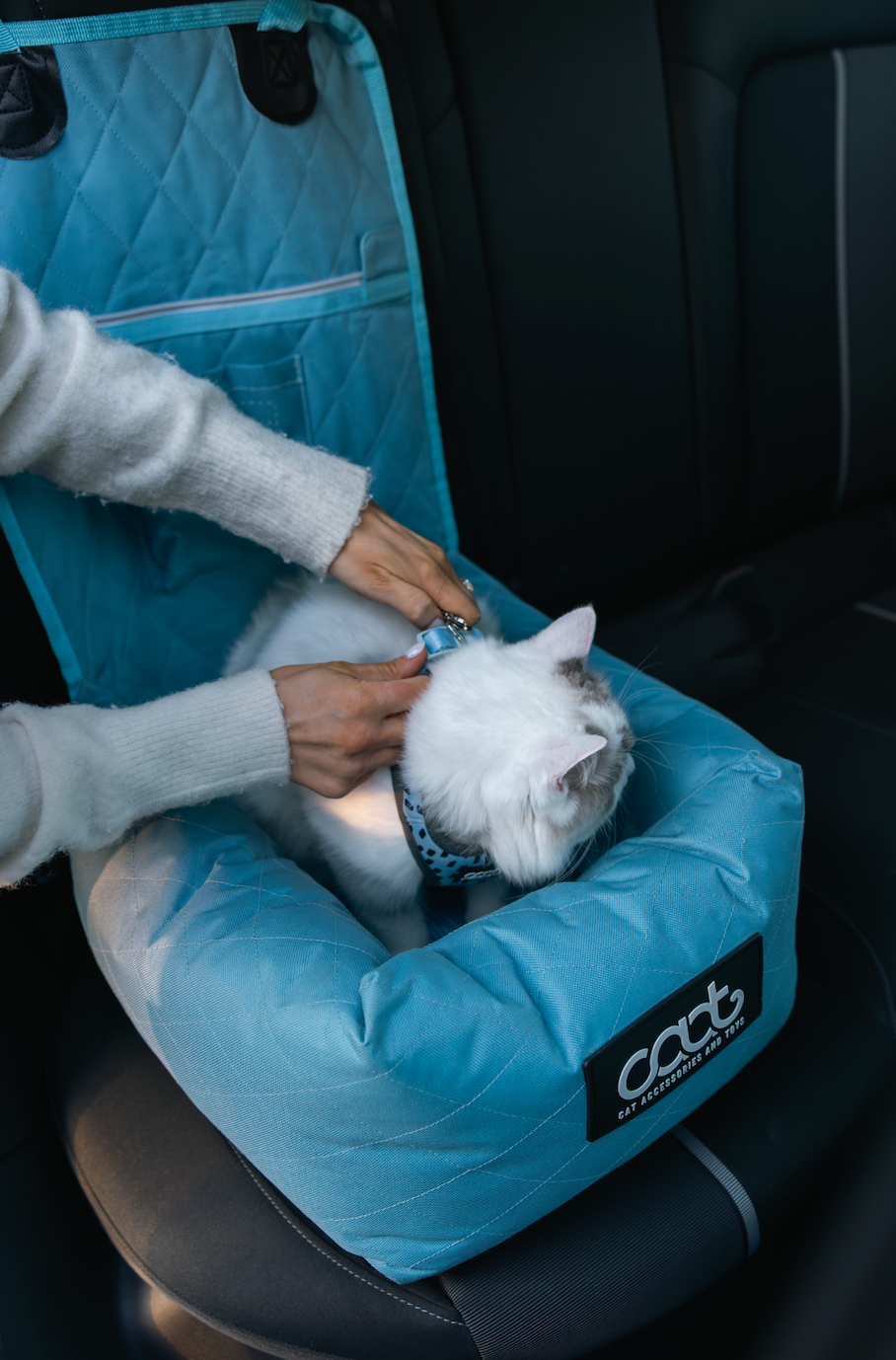 CAAT Cat Car Seat