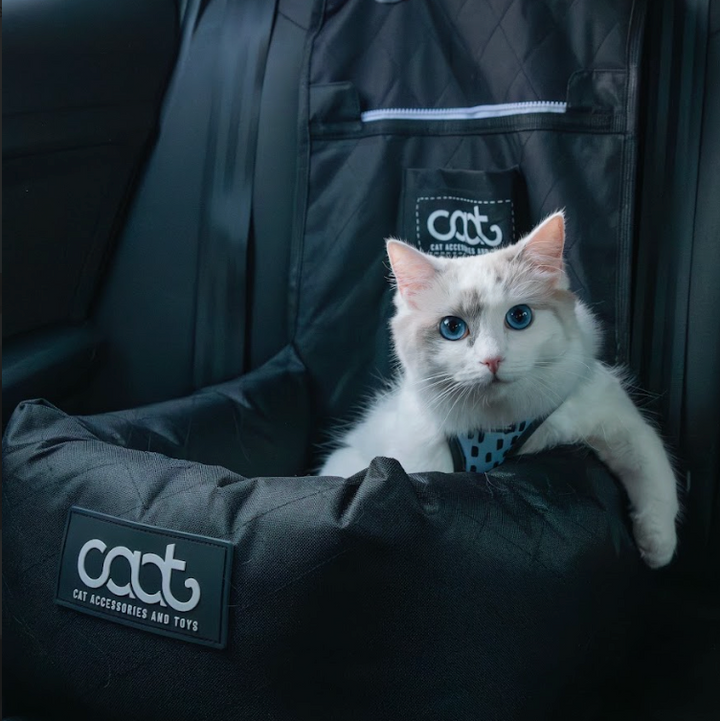 CAAT Cat Car Seat