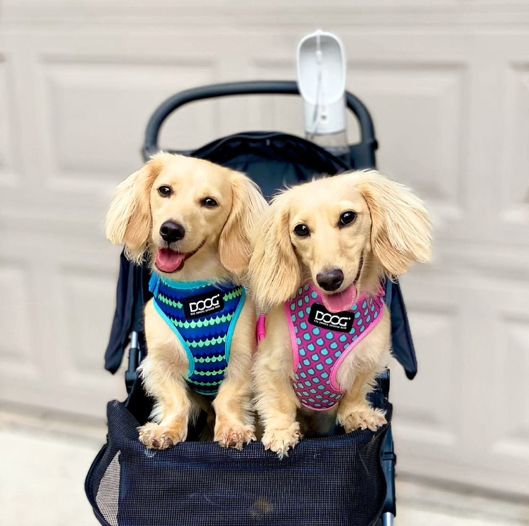 Neoflex Soft Harness