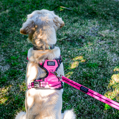 Neotech Control Harness - (Neon High Vis) Lady