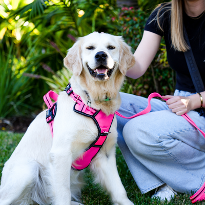 Neotech Control Harness - (Neon High Vis) Lady