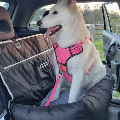 Large Car Seat - BLACK *NEW* (for large breeds)