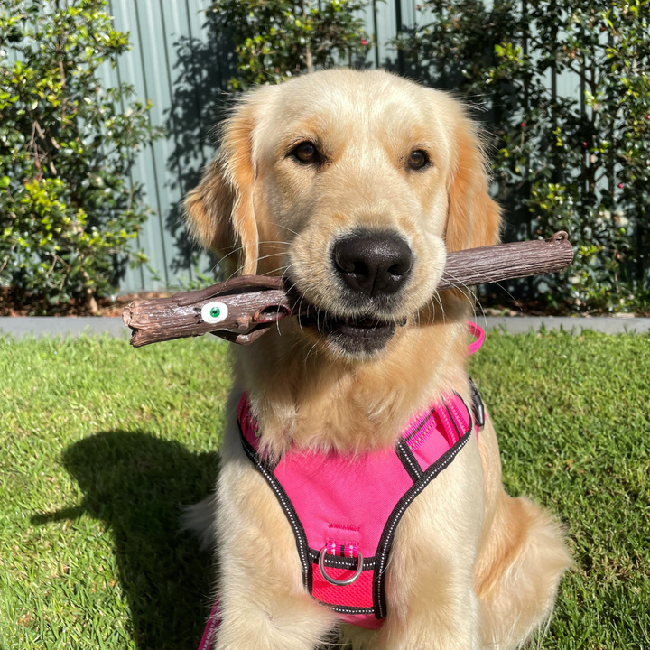 Stick Family Toys - Twiggy (Wife)