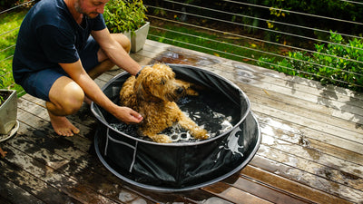 Pop-up Pool
