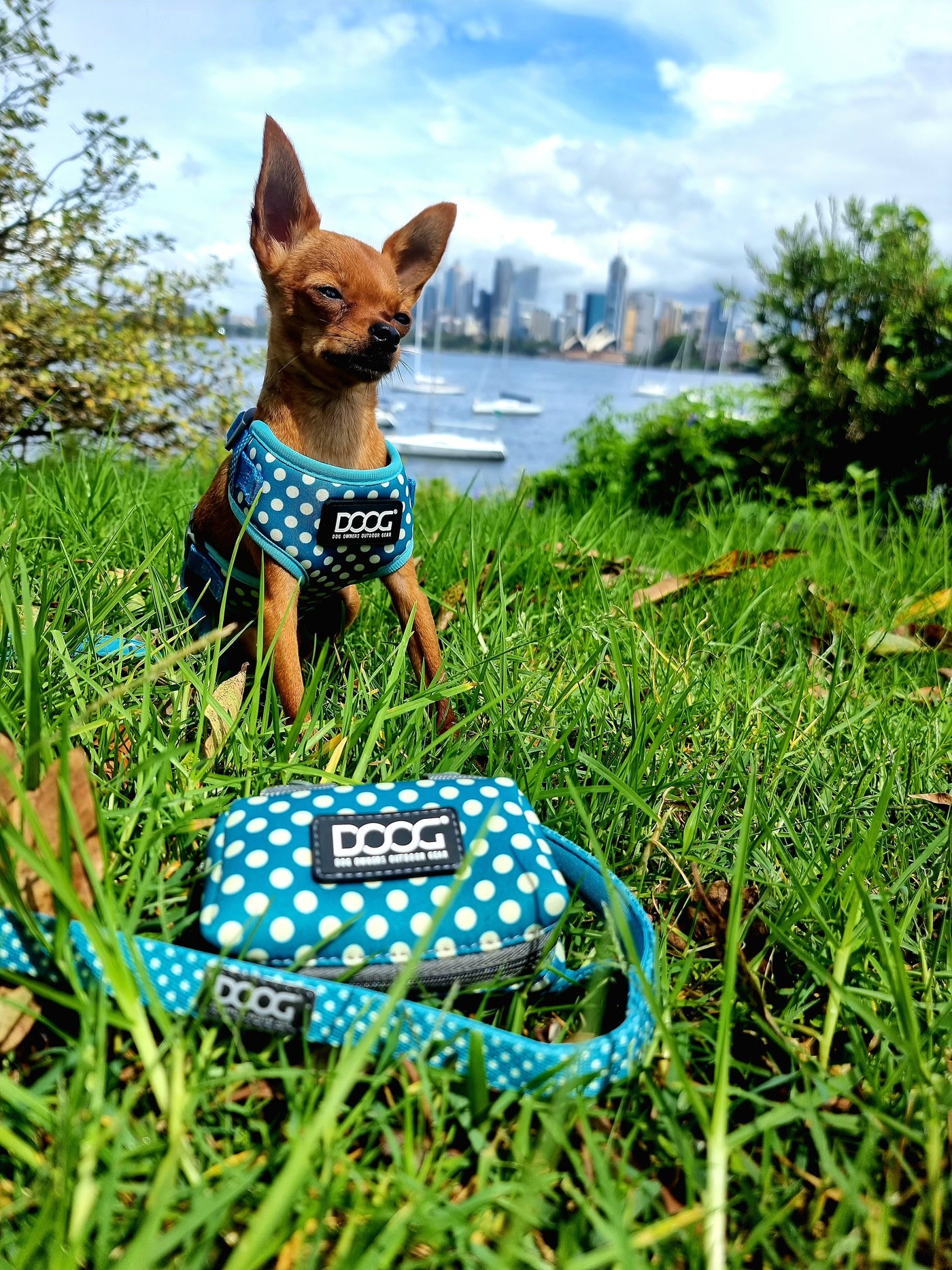 Walkie Pouch - Snoopy