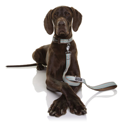 Lead - Neoprene Dog Leash -BENJI