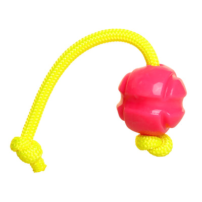 Fetchables - Fetch-N-Tug Ball & Rope