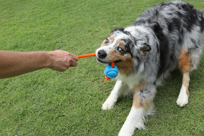 Fetchables - Fetch-N-Tug Ball & Rope