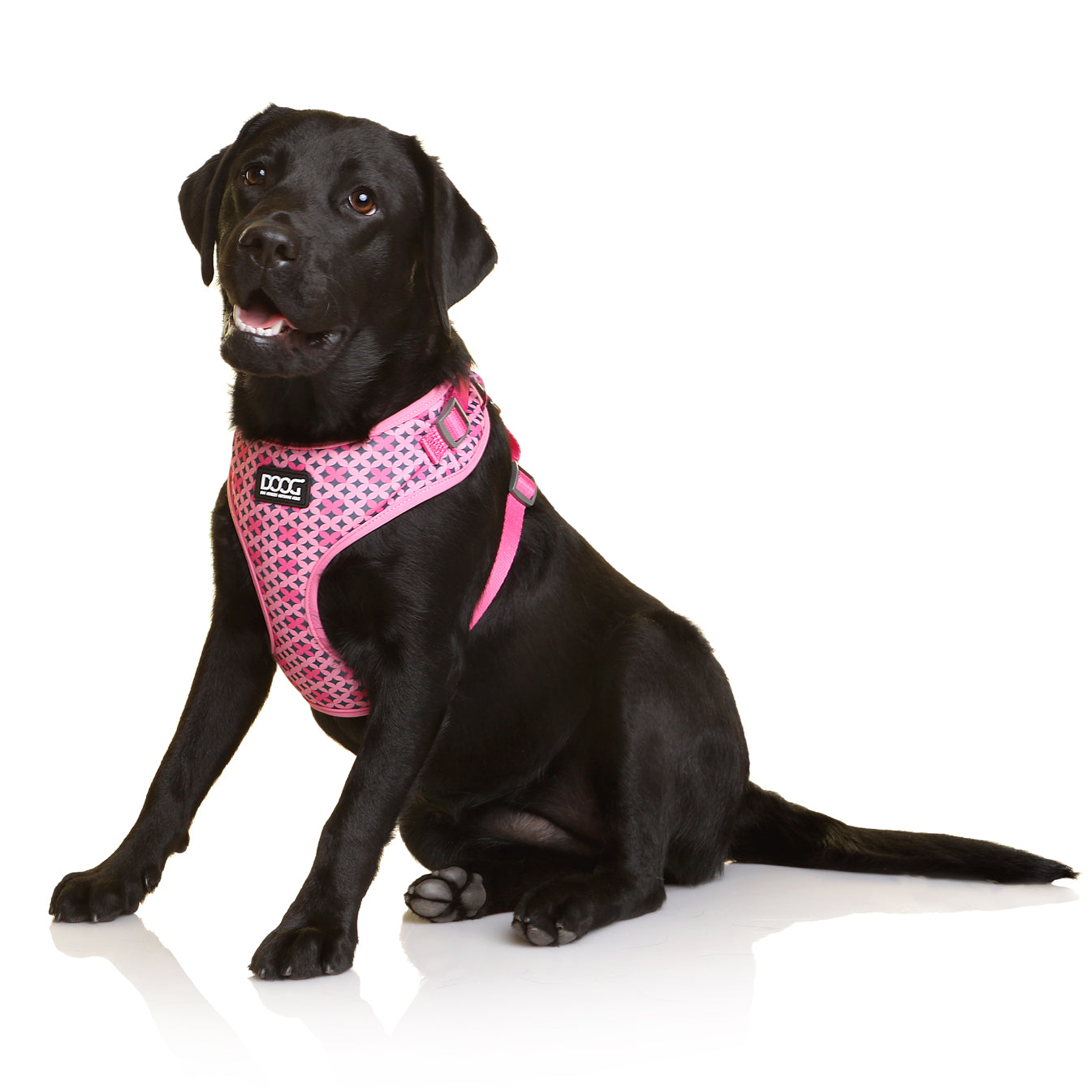 Neoflex Soft Harness - TOTO