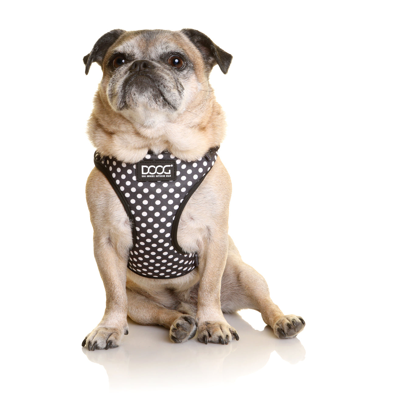 Neoflex Soft Harness - PONGO