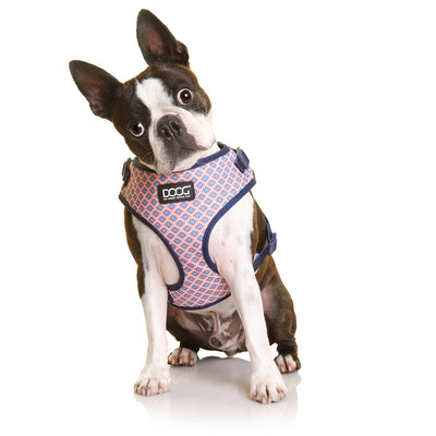 Neoflex Soft Harness - GROMIT