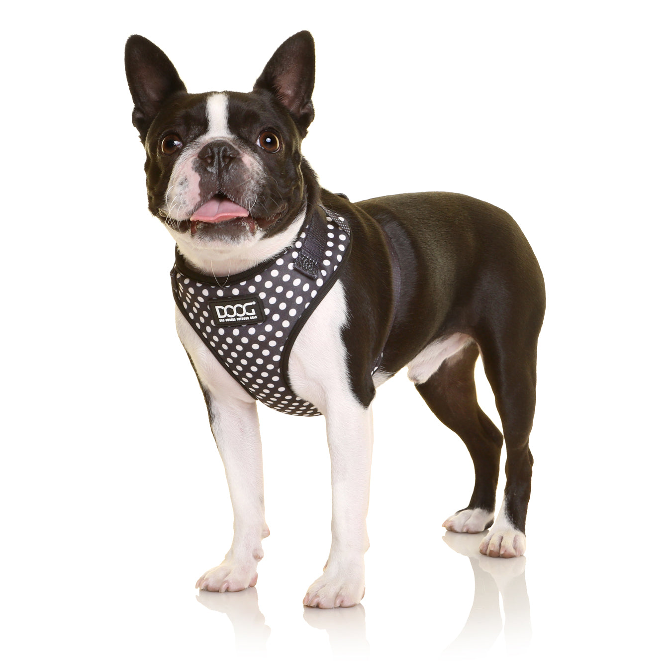 Neoflex Soft Harness - PONGO