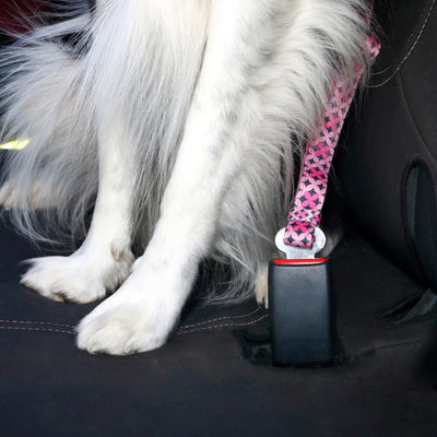 Car Restraint - PONGO