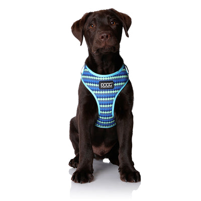 Neoflex Soft Harness - PLUTO