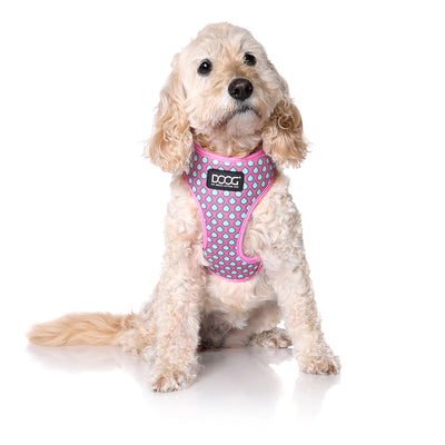 Neoflex Soft Harness - LUNA