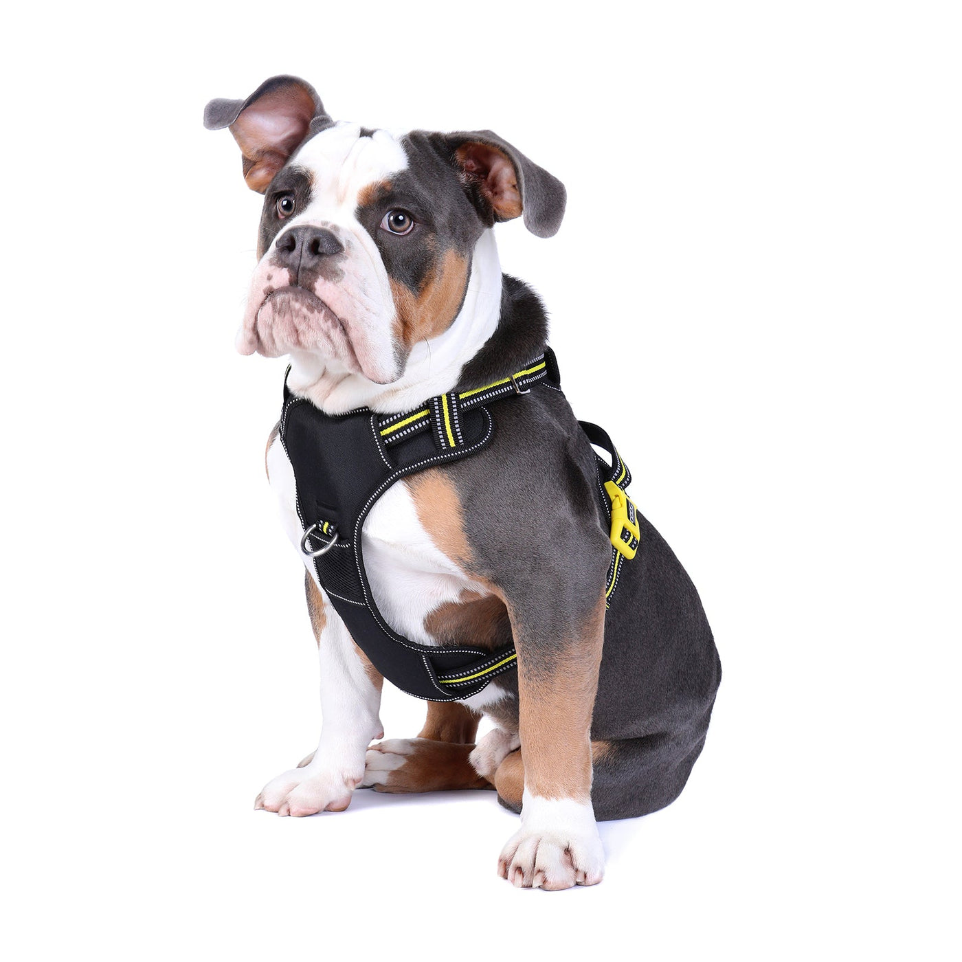 Neotech Control Harness - (Neon High Vis) Bolt