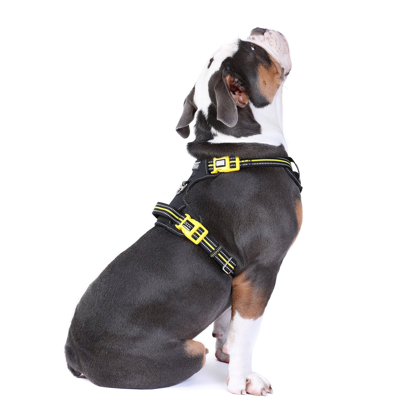 Neotech Control Harness - (Neon High Vis) Bolt