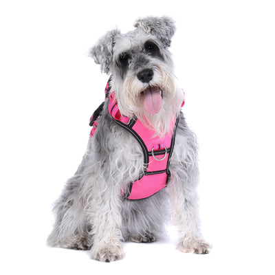 Neotech Control Harness - (Neon High Vis) Lady