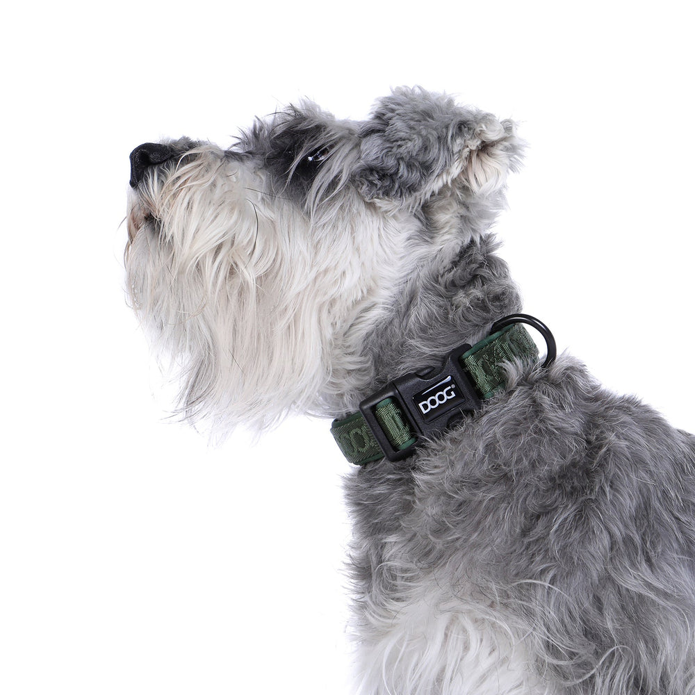 Neosport Neoprene Dog Collar - Olive Green