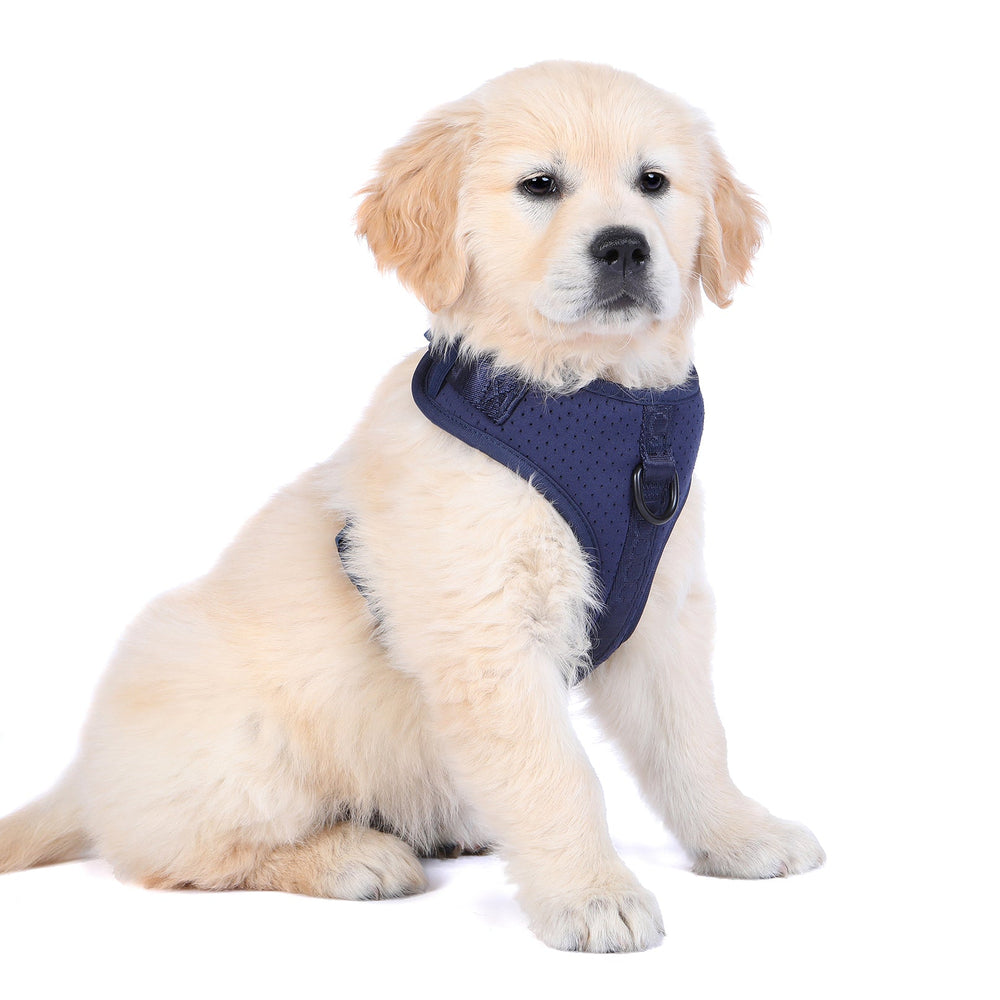 Neosport Soft Harness - Navy Blue