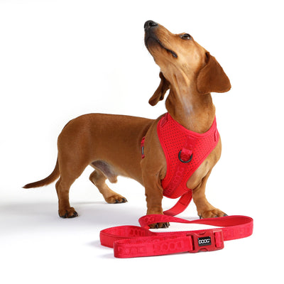 Neosport 'Clip It' Neoprene Dog Lead - RED