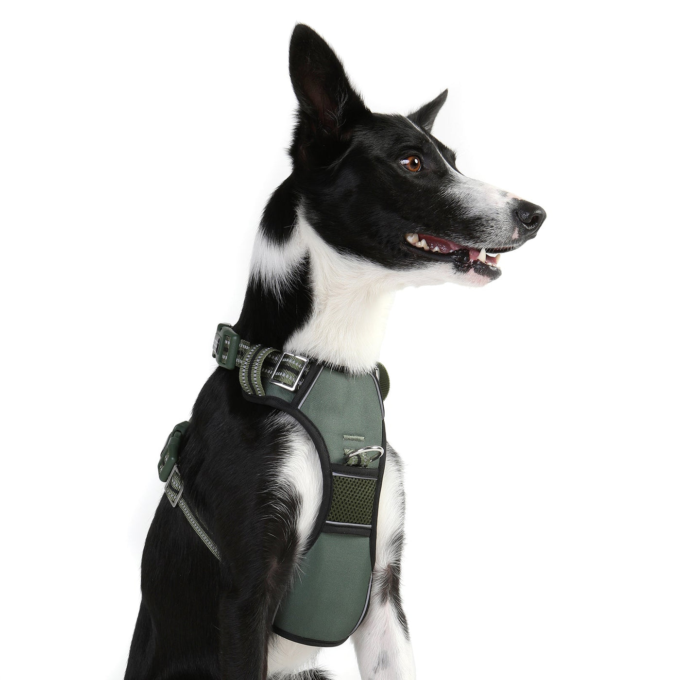 Neotech Control Harness - GREEN