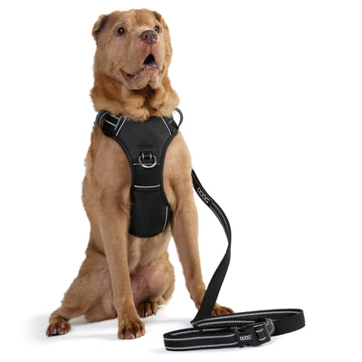 Neotech Control Harness - BLACK