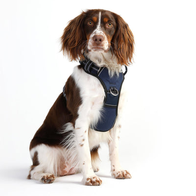 Notch Control Harness - NAVY