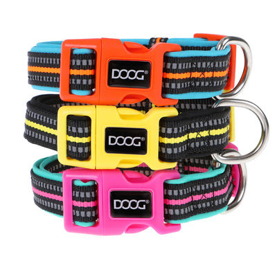 Neoprene Dog Collar - BEETHOVEN (Neon)