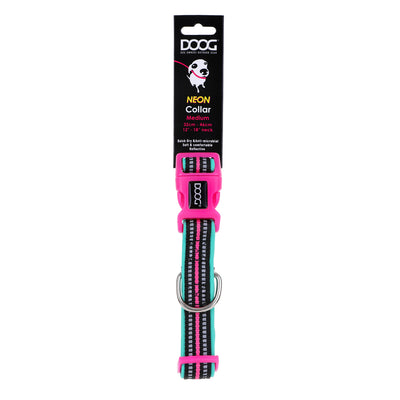 Neoprene Dog Collar - RIN TIN TIN (NEON)