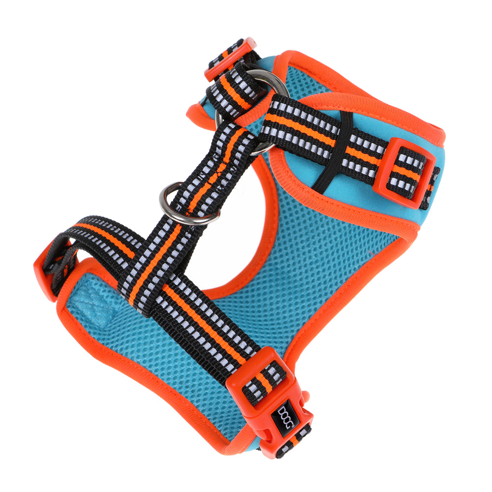 Neoflex Soft Harness - BEETHOVEN (NEON)