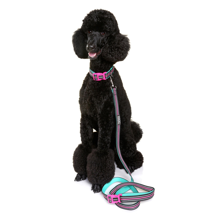 'Clip It' Neoprene Dog Leash - RIN TIN TIN (NEON)