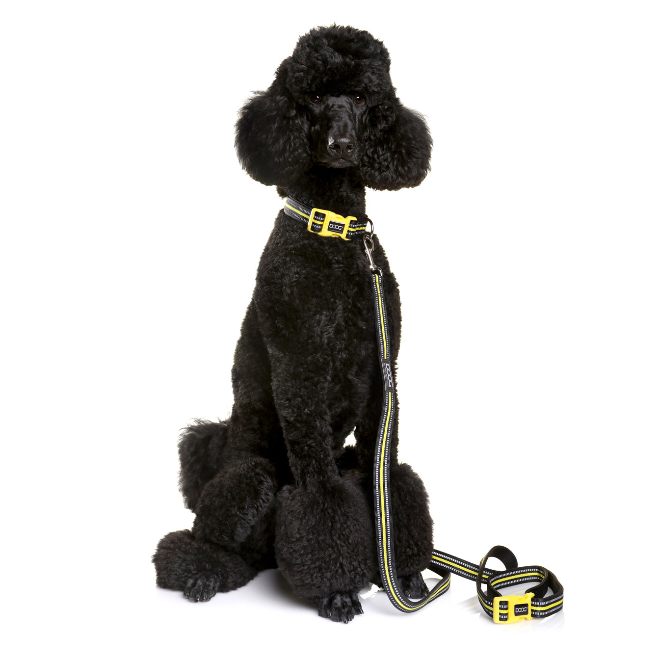 'Clip It' Neoprene Dog Leash - BOLT (NEON)