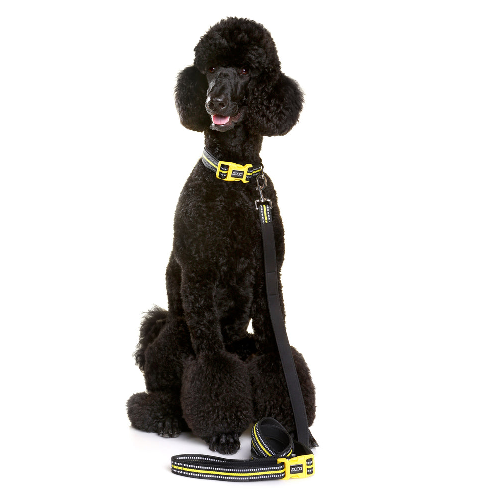 Neoprene Dog Collar - BOLT (NEON)