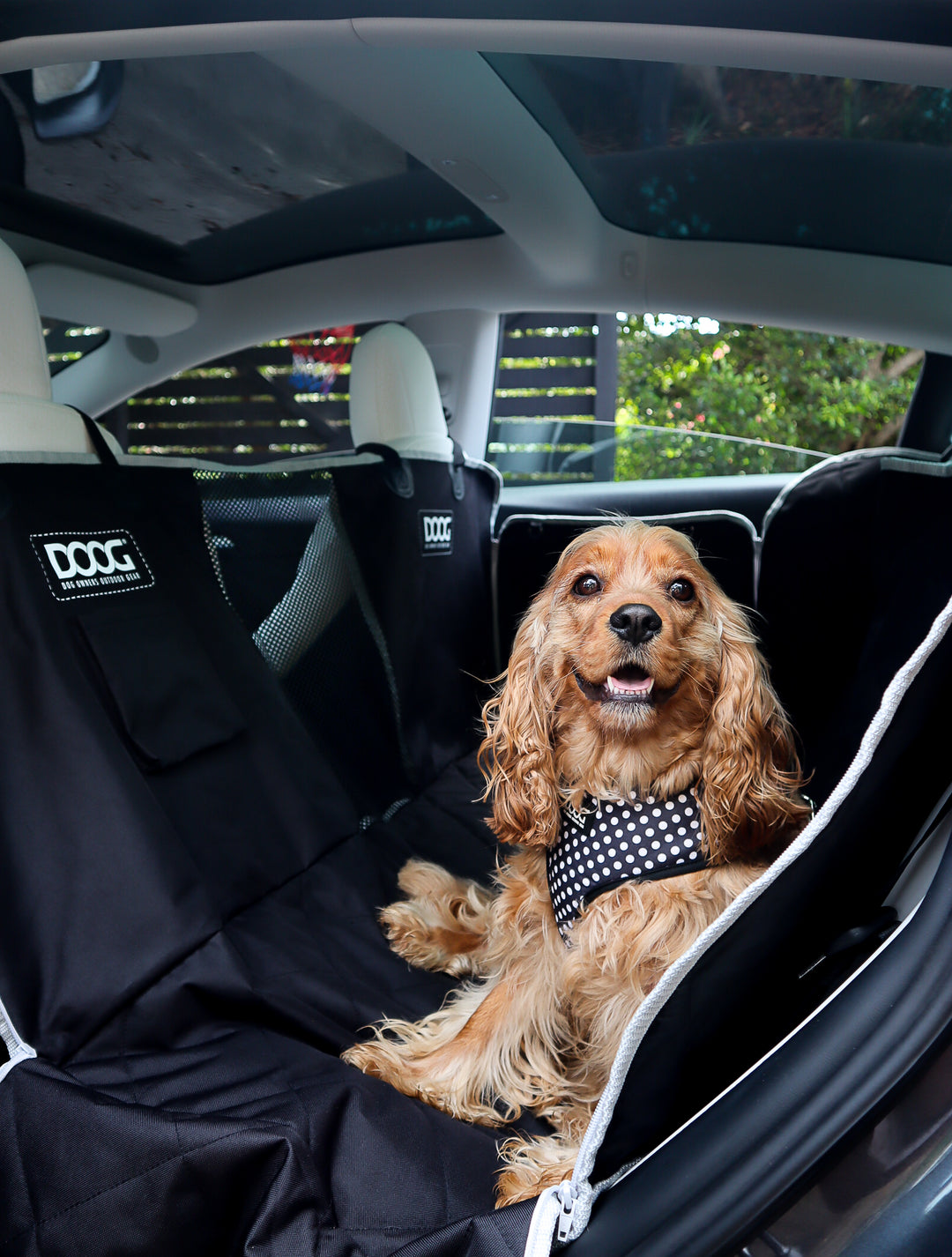 Car Seat Cover