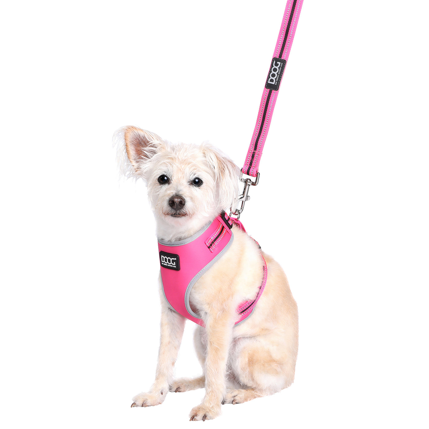 Neoflex Soft Harness - LADY (NEON)