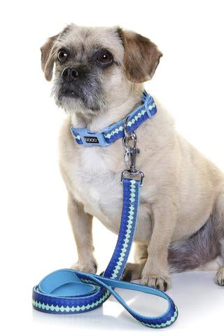 Neoprene Dog Collar - PLUTO