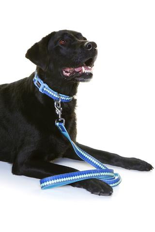 Neoprene Dog Leash - PLUTO