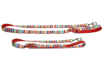 'Clip It' Neoprene Dog Leash - SCOOBY